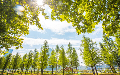 第七届中国创新创业大赛先进制造行业总决赛特色活动“公益大讲堂