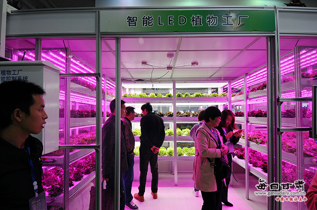 【第三届兰州科技成果博览会】机器人制作豆腐、办理退房手续 这都是咱兰州公司研发的