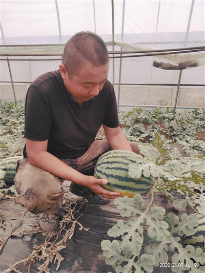 如果能忍受辛苦和寂寞 欢迎来农村创业