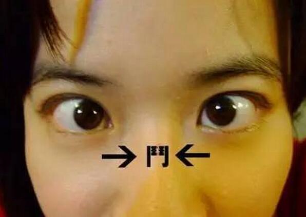 汕尾农村青年联合创业正在成为趋势