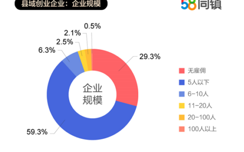 58同镇与清华共同发布《县域创业报告》：返乡创业者占比过半、企