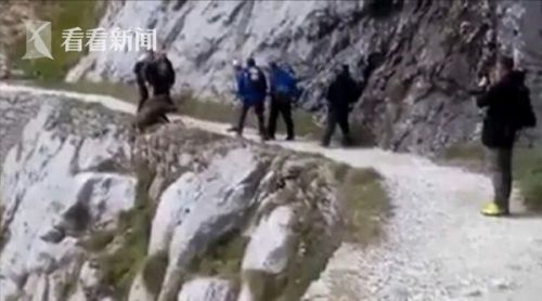游客将野猪逼下崖 这到底是怎么回事？