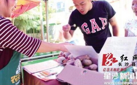 长沙县举行“青春创客汇”农村青年公益创业集市活动