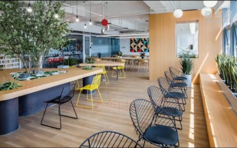 我的创业故事｜李杨：共享办公解决创业“痛点”