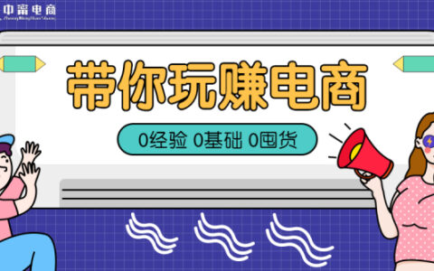 中甯电商为客户提供营销方案，助力客户成功创业