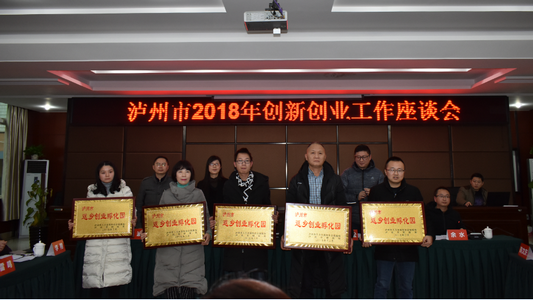 泸州市2018年创新创业工作座谈会举行