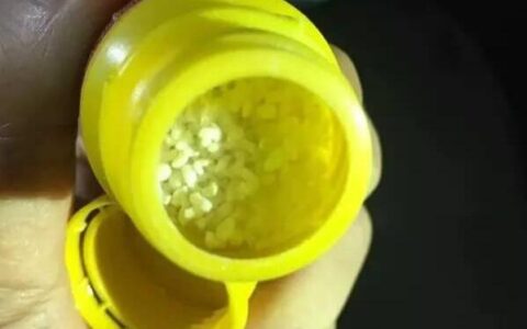 误把驱鼠药当零食 误食老鼠药怎么办？