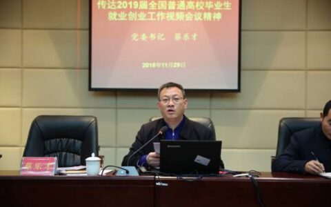 宜宾学院学习2019届全国普通高校毕业生就业创业工作网络视频会议