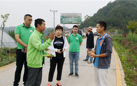 “青创+”筑梦千里巡之巴中巡诊活动在恩阳区启动