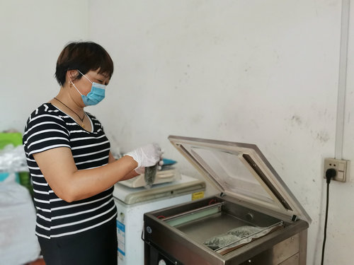 返乡创业种藤椒 荒山长出摇钱树