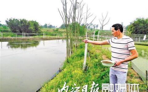 “泥鳅大王”的创业路