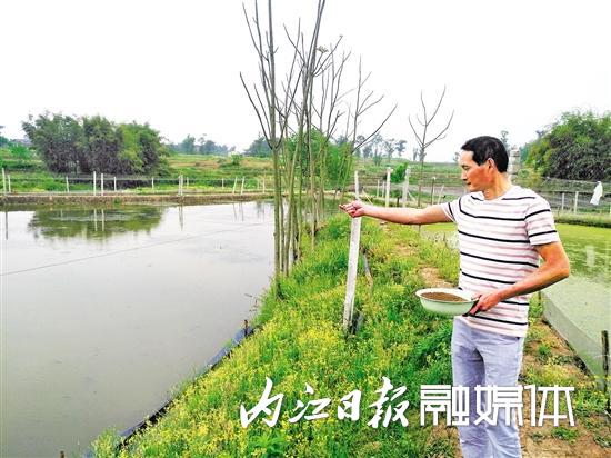 “泥鳅大王”的创业路