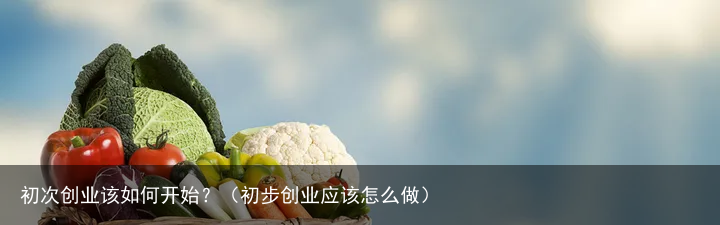 初次创业该如何开始？（初步创业应该怎么做）