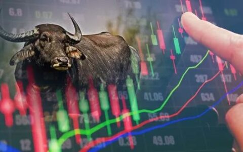 A股情绪温度计“发烫”！创业板日换手率年内3次突破5%，35股年内已超10倍大换手，多个交易日比肩15年牛市