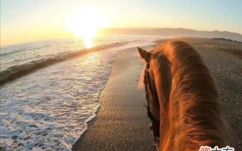 如何寻找好的创业项目经验 如何寻找好的创业项目经理