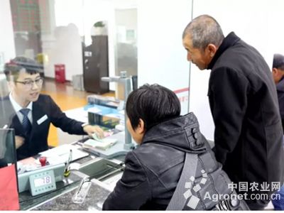 安阳贫困户创业贷款不用抵押担保（图）,农业资讯,中国农业网新闻