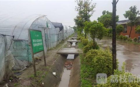 揭秘创新富民在泰州是如何体现的！