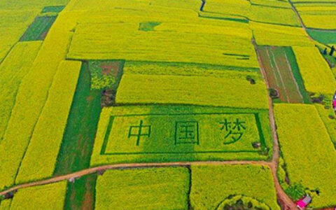 “进城打工”还是“返乡创业”你怎么选？（图）,农业资讯,中国