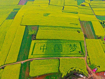 “进城打工”还是“返乡创业”你怎么选？（图）,农业资讯,中国