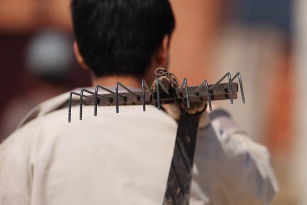 “进城打工”还是“返乡创业”你怎么选？（图）,农业资讯,中国