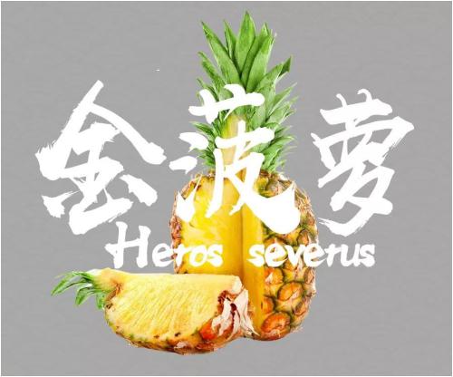 创业选择茶颜观色茶饮，即使没有经验也能够轻松致富