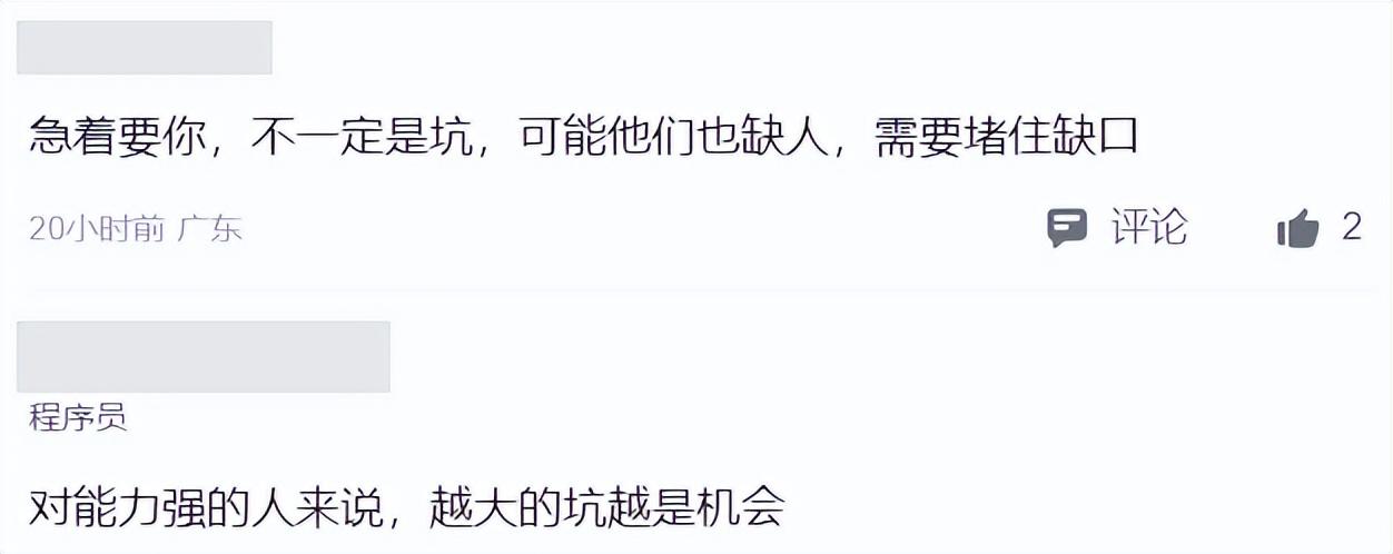 程序员发帖：从面试到谈薪只用了3天，这种公司能去吗？
