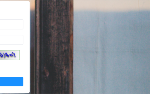 Spring Security在前后端分离项目中的使用