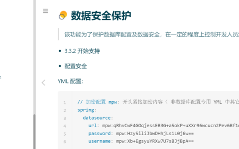 MybatisPlus数据安全，你掌握了吗