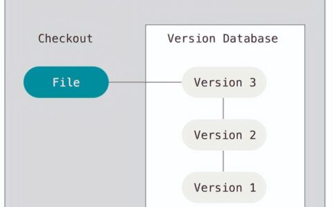 30分钟带你精通git使用