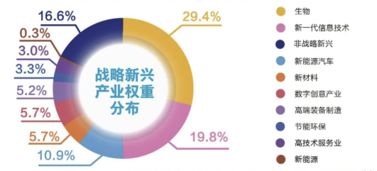 把握产业创新脉搏，创业板指数十周年再启程