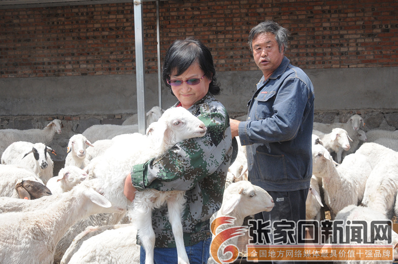 一个农家女的创业之路