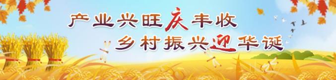 想创业吗？嘿，机会来啦