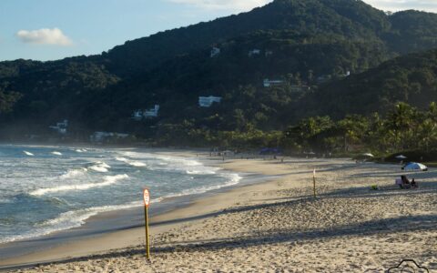 如何分辨创业信息的真实性（怎么才能发布第一手信息）