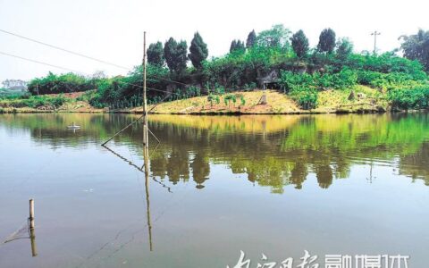 年轻就是要敢闯——记市中区返乡创业党员李树刚