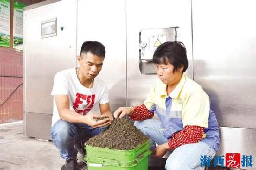 厦门翔安创业青年研制厨余垃圾处理设备 就地减量变废为宝