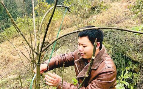 1000元开始的创业梦