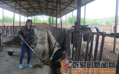 一个农家女的创业之路