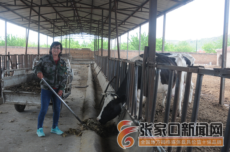 一个农家女的创业之路