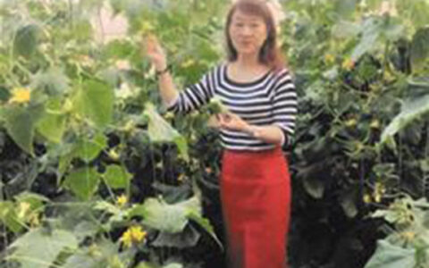 女局长辞职创办公司 种植农产品营收超5千万元