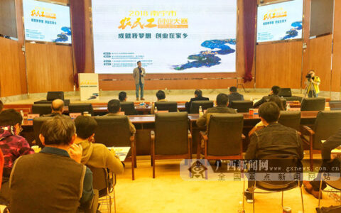 2018年南宁市农民工创业大赛圆满结束