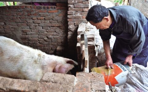 创业者刘利祥 “老猪倌”的“环保经”