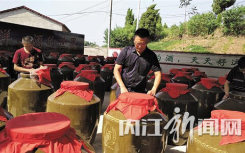 东兴区高梁镇村民周茂才的创业故事