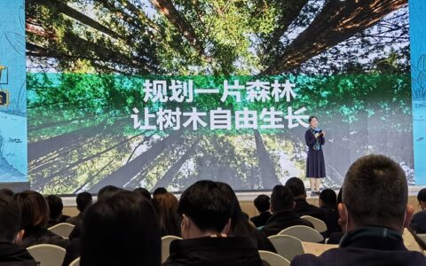 因为一个原因，她选择回到上海的江边小镇创业，如今公司营收已超