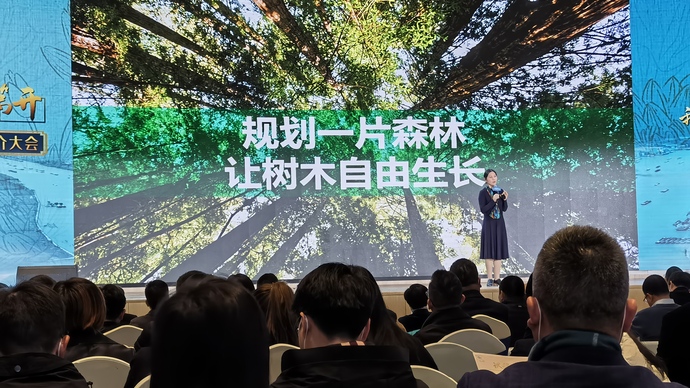 因为一个原因，她选择回到上海的江边小镇创业，如今公司营收已超