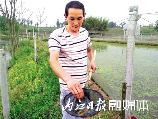 “泥鳅大王”的创业路