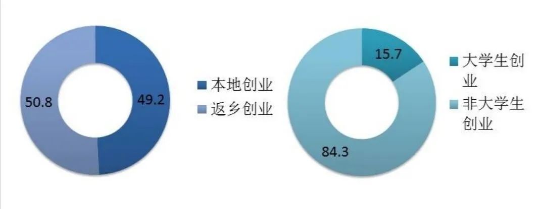 告别白领！返乡做个“李子柒”！大学生返乡创业创新高！