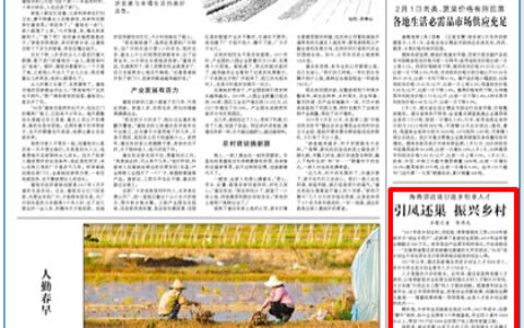 海南澄迈吸引返乡创业人才引凤还巢振兴乡村