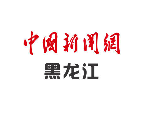 黑龙江省青年创业大赛复赛开赛