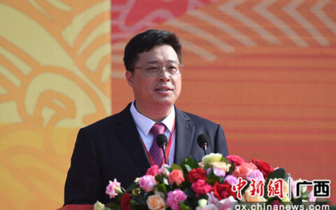 韦韬：玉林建区域性大城市 邀侨胞支持参与家乡建设发展