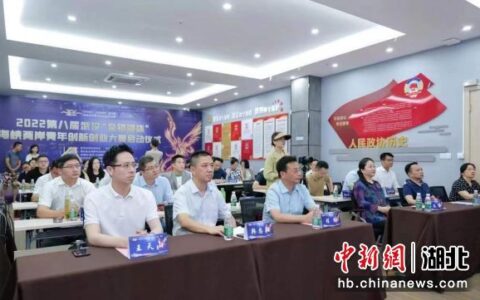 中新网湖北 湖北新闻网 武汉＂金银湖杯＂第八届海峡两岸青年创新创